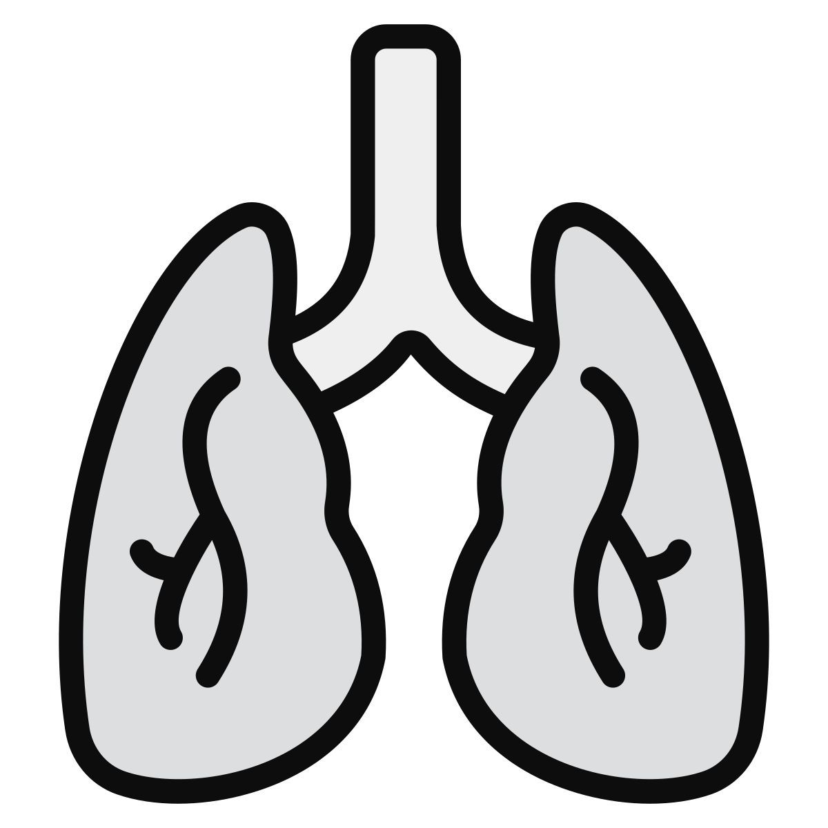 lungs icon