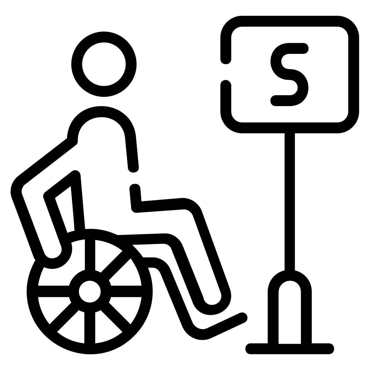 disabilitare il passeggero icon