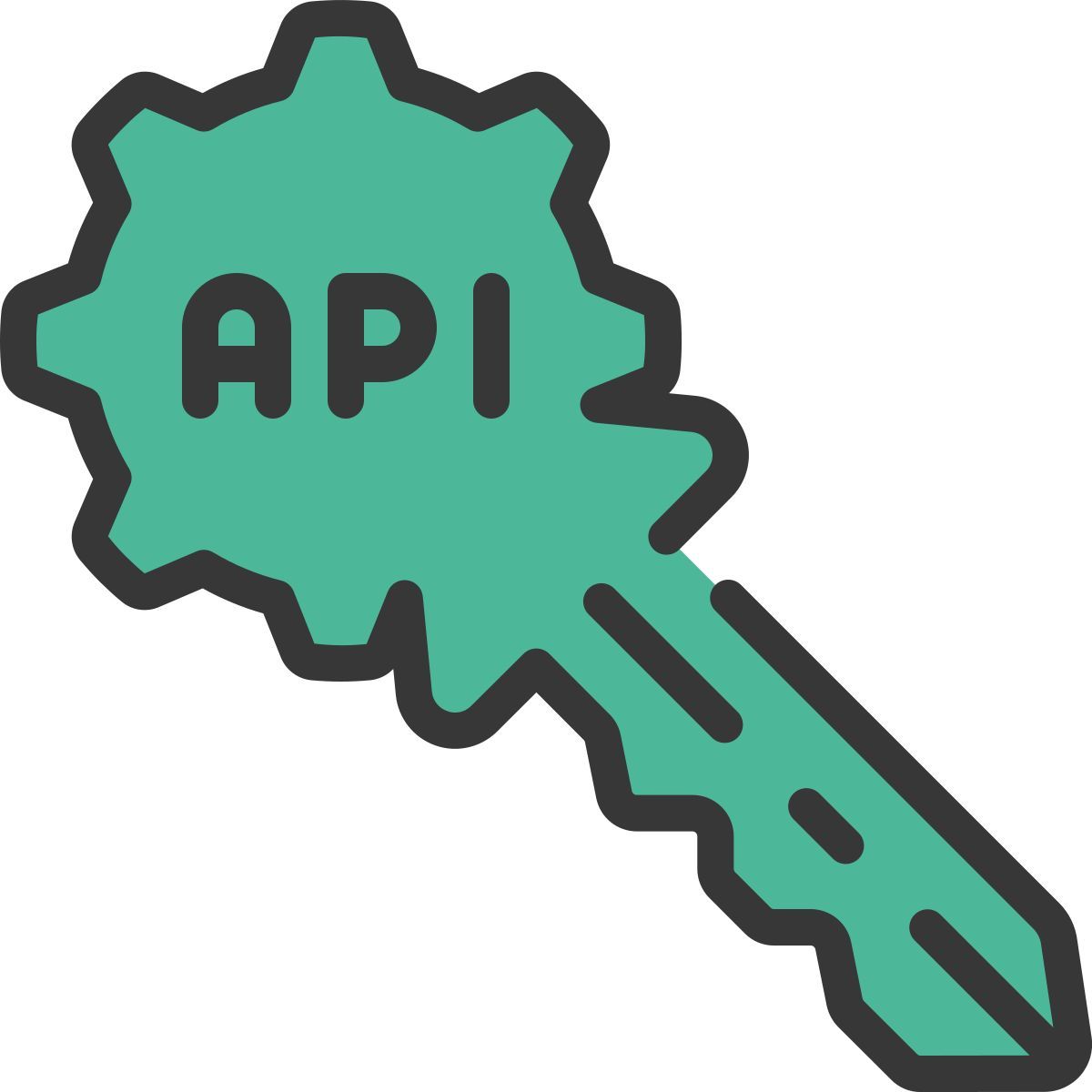api icon