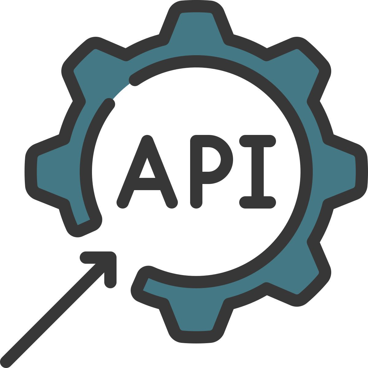 api icon