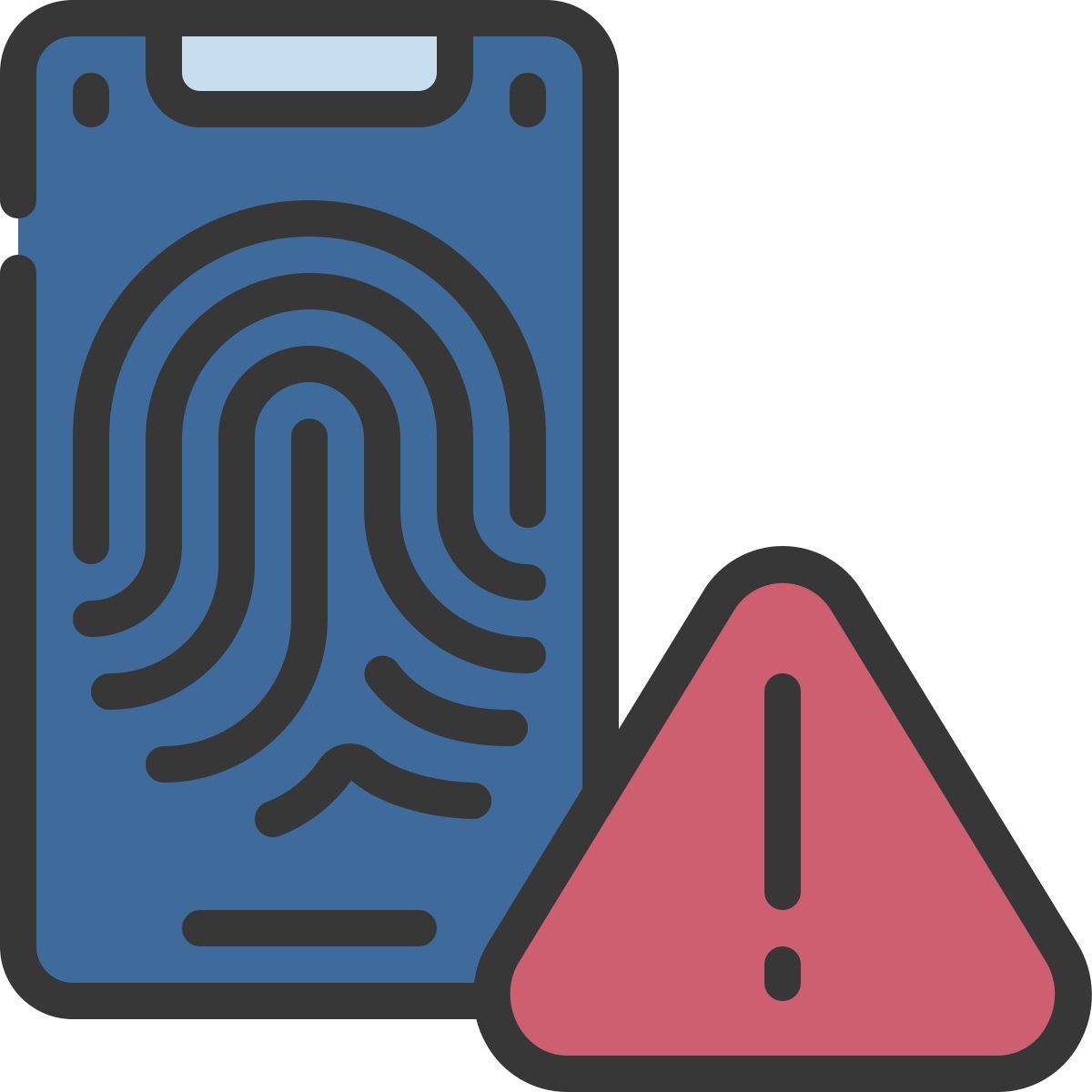 biometrics icon