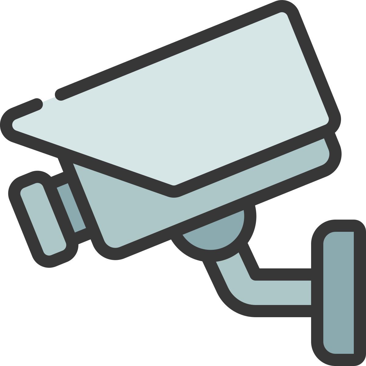 cftv icon
