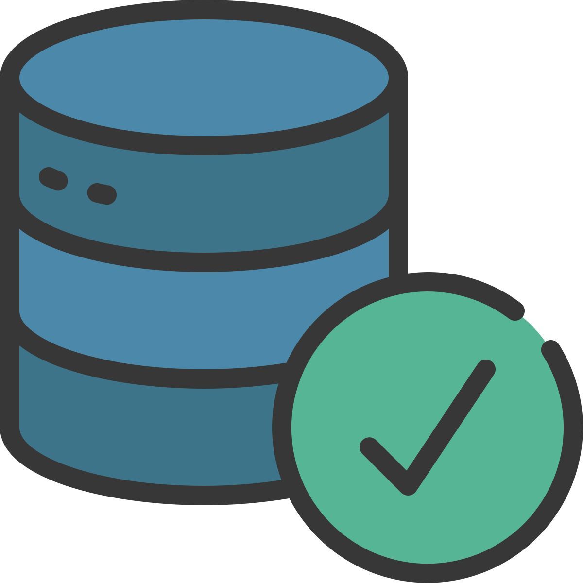 data check icon