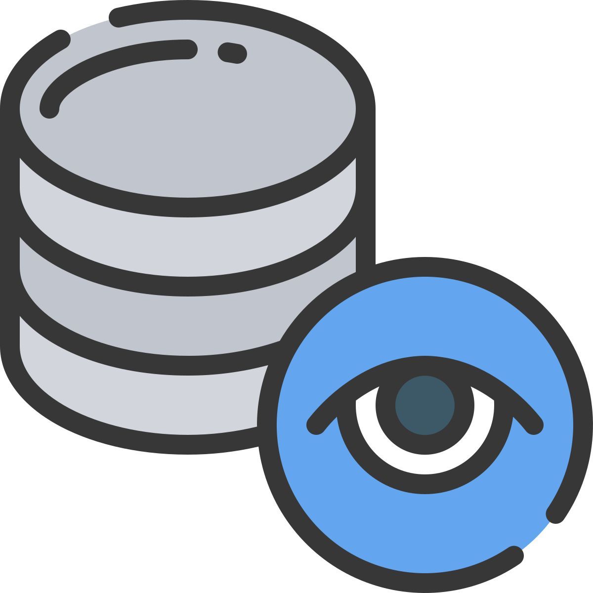 data icon