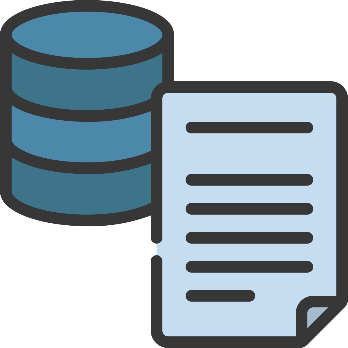 document icon