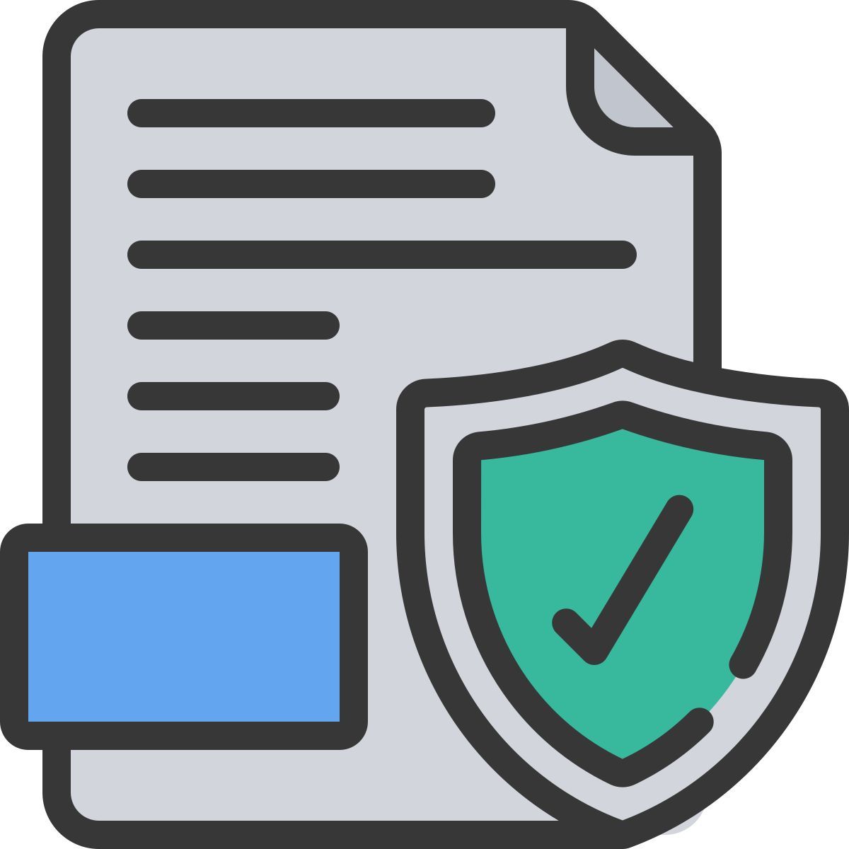 document icon