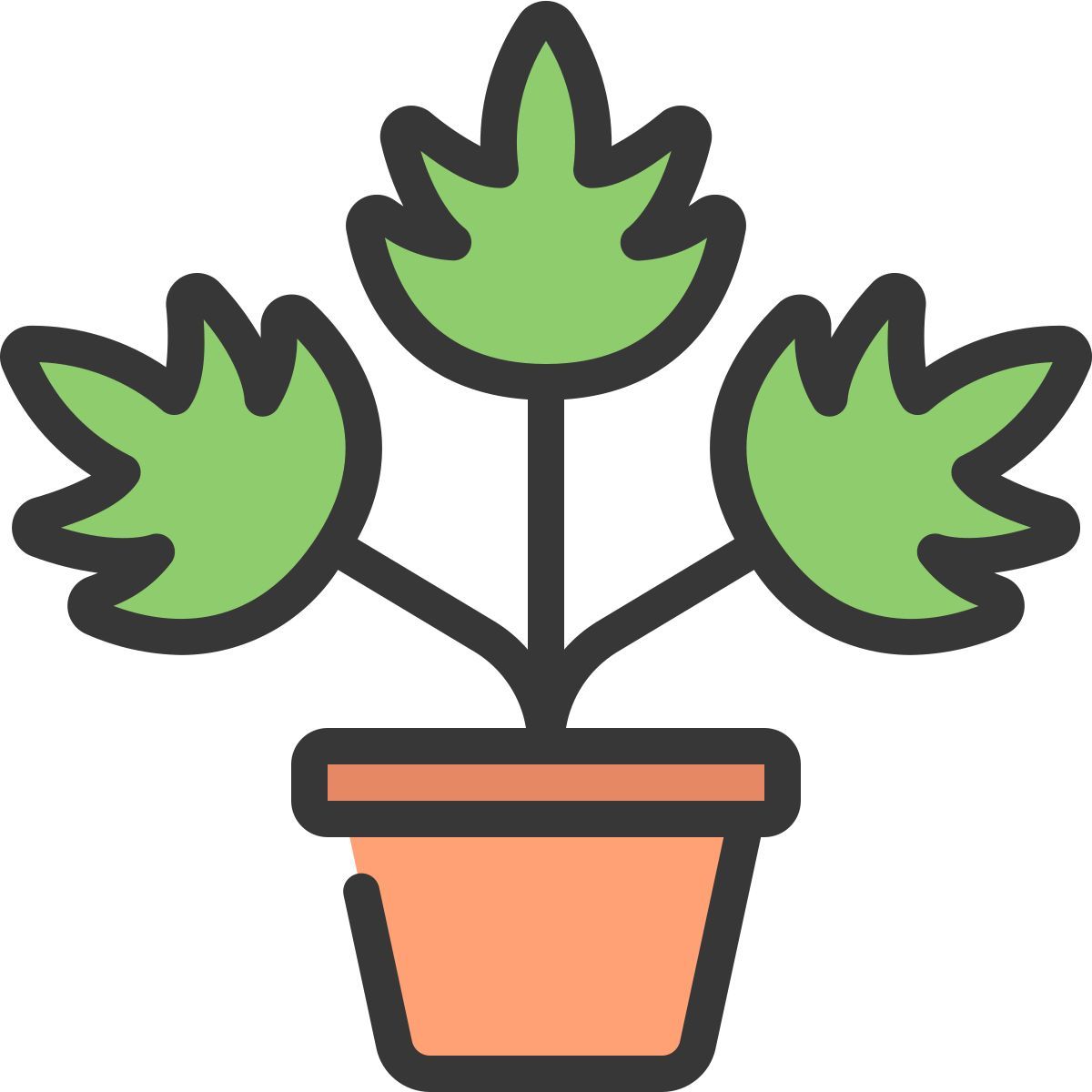 feuille icon