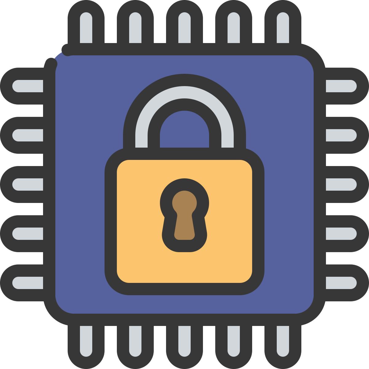 locked icon