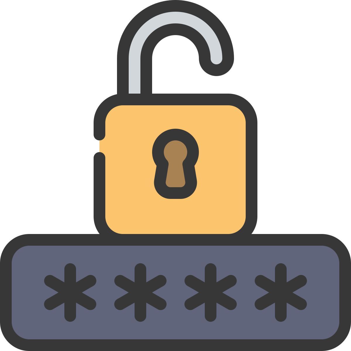 password icon