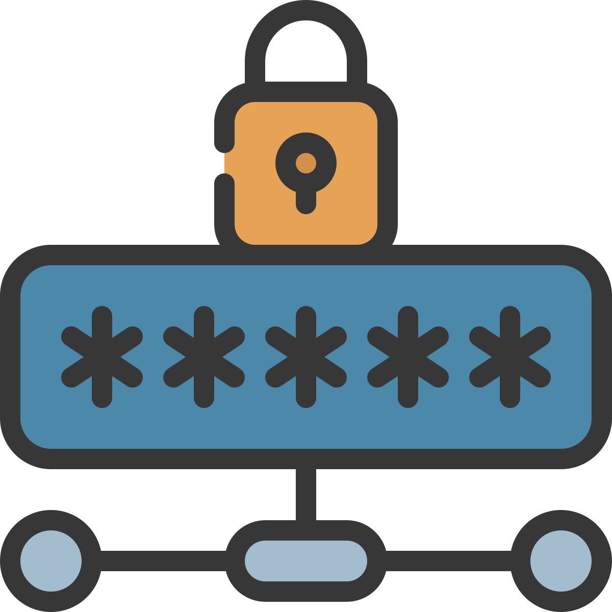 password icon