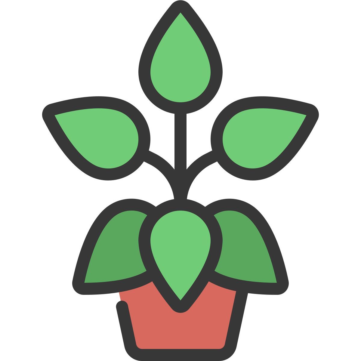 peperomia icon
