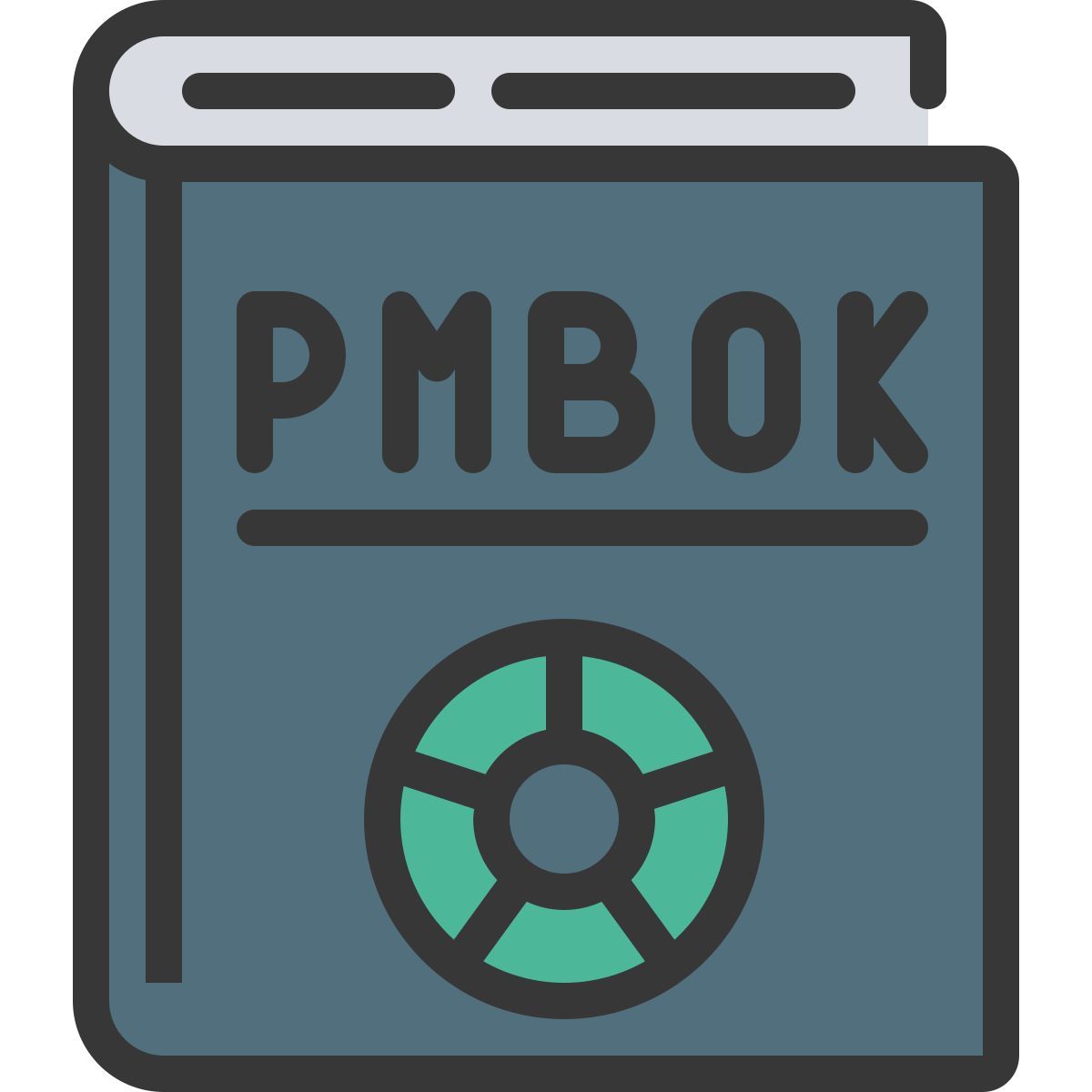 pmbok icon