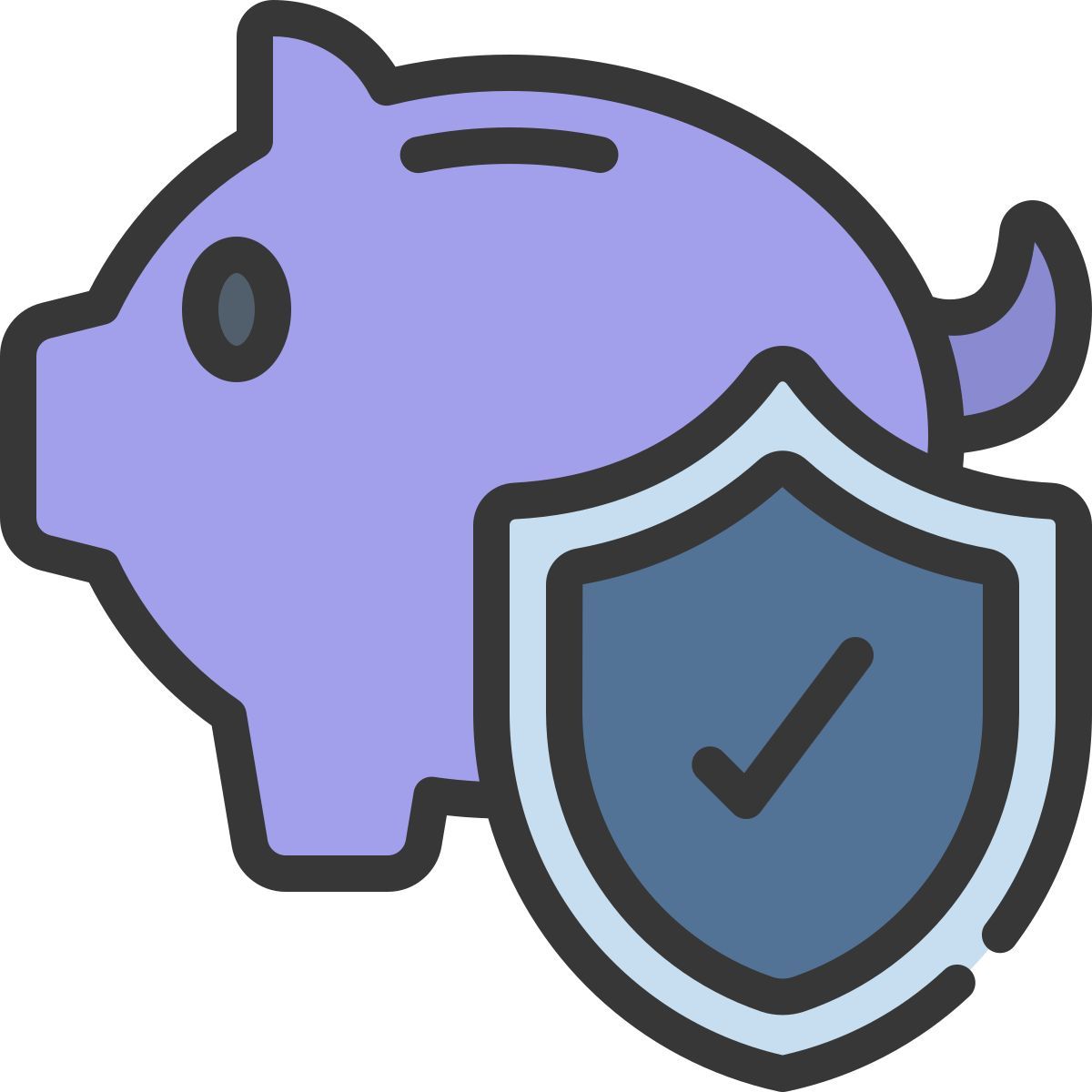 protegido icon