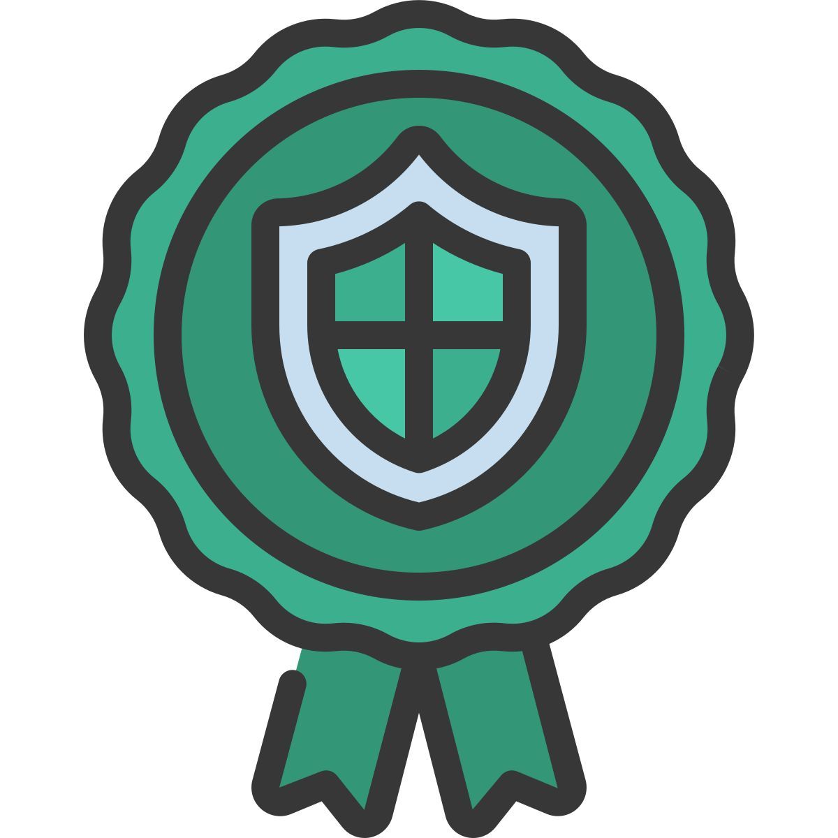 protection icon