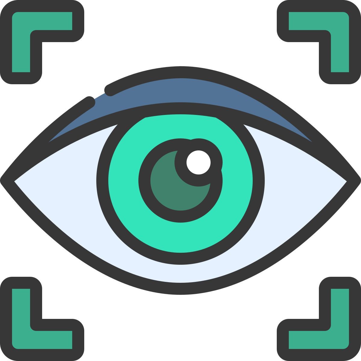 retina icon