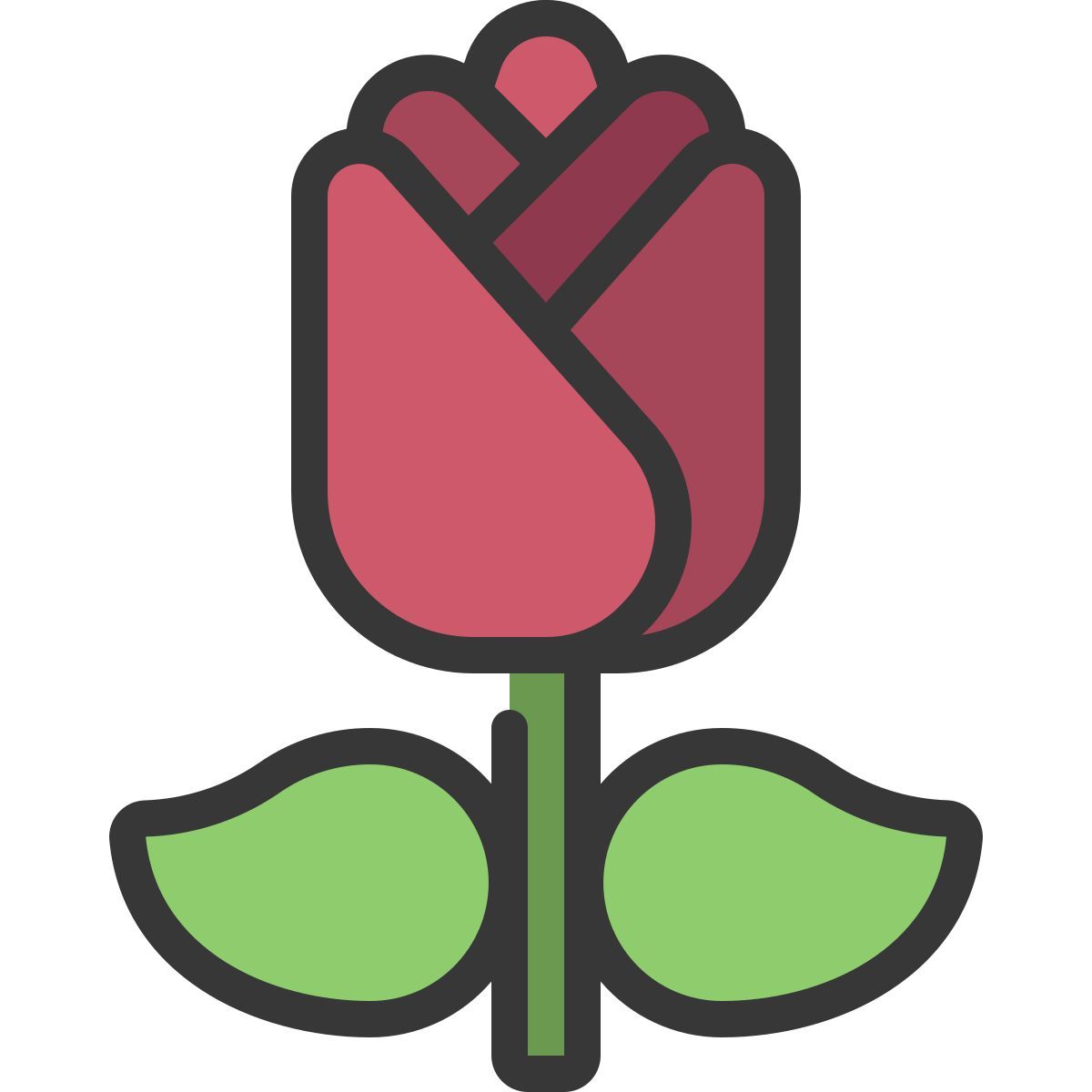 rosa icon