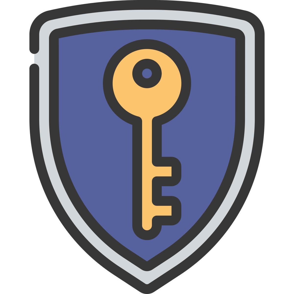 shield icon
