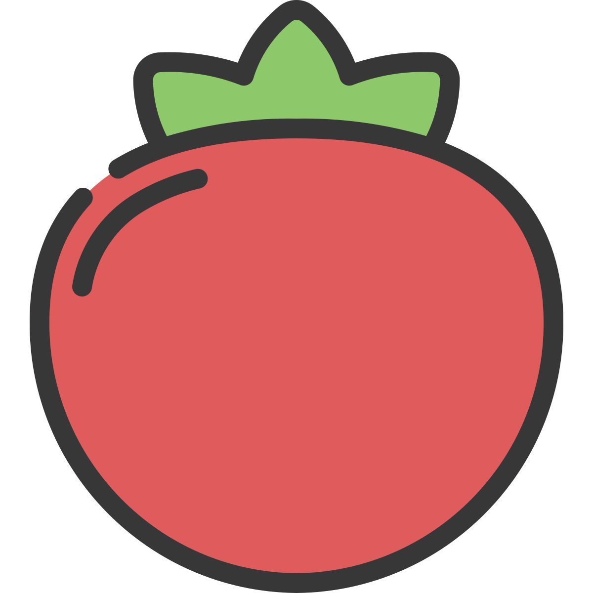 tomato icon
