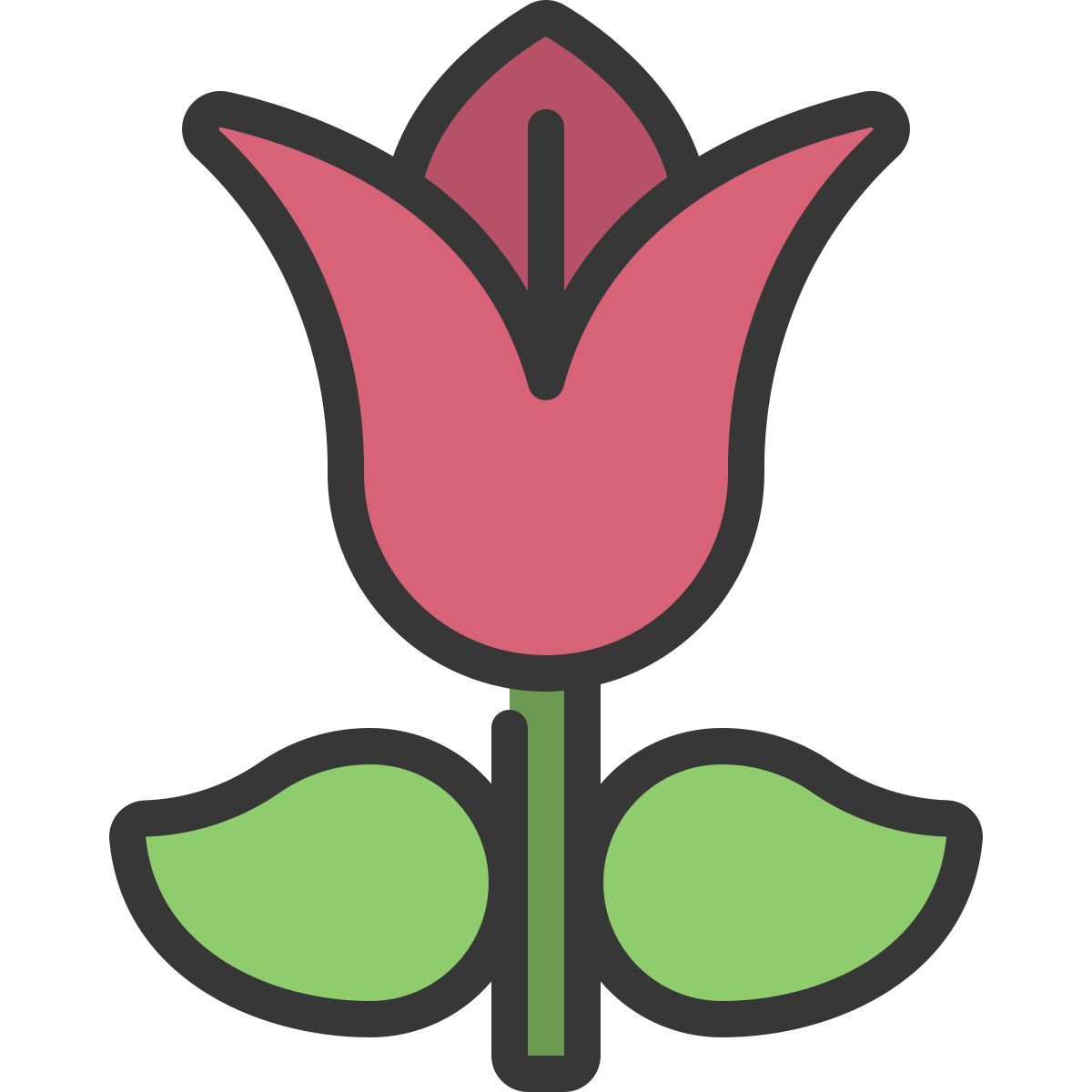 tulipa icon