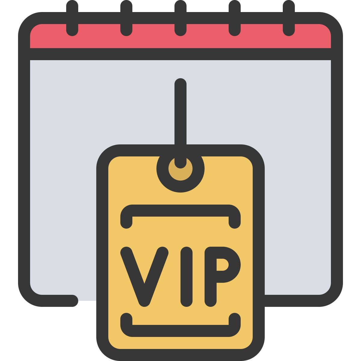 vip icon