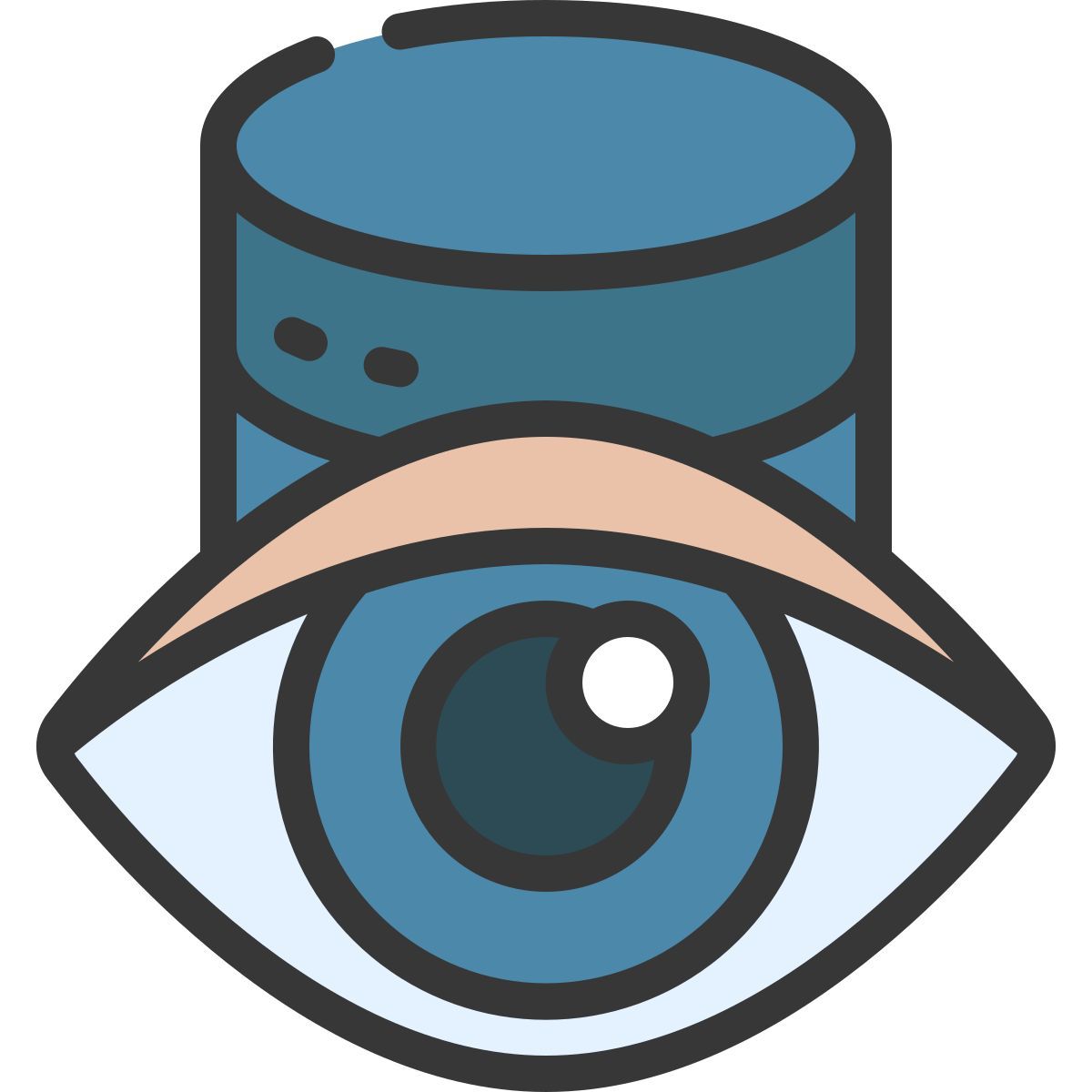 visible icon