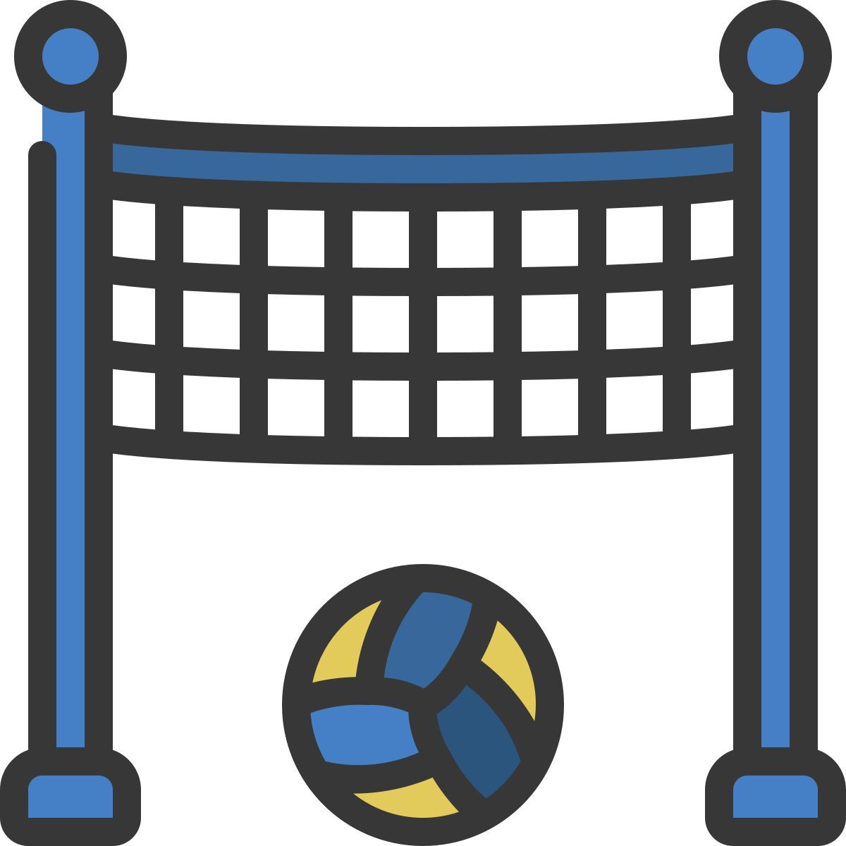 volleyball icon