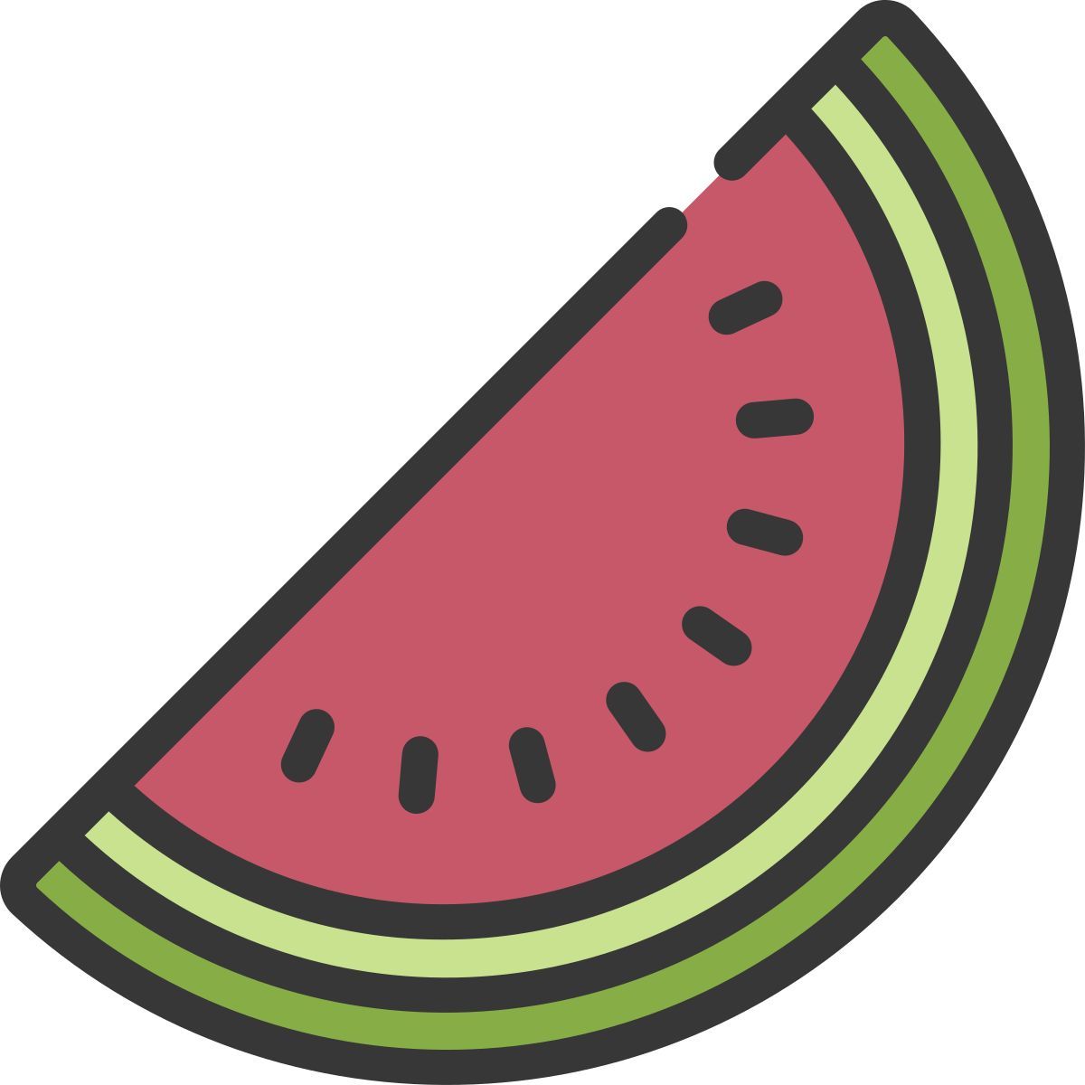 watermelon icon