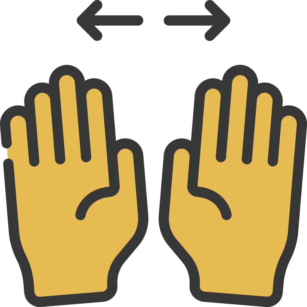zoom icon