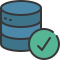 external correct-database-and-storage-soft-fill-soft-fill-juicy-fish icon