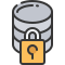 external data-information-security-soft-fill-soft-fill-juicy-fish icon