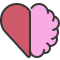 external heart-emotional-intelligence-soft-fill-soft-fill-juicy-fish icon