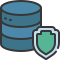 external protected-database-and-storage-soft-fill-soft-fill-juicy-fish icon