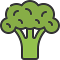 external broccoli-plant-based-diet-soft-fill-soft-fill-juicy-fish icon