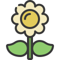 external daisy-plants-and-flowers-soft-fill-soft-fill-juicy-fish icon