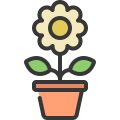 external potted-plants-and-flowers-soft-fill-soft-fill-juicy-fish icon