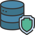 external protected-database-and-storage-soft-fill-soft-fill-juicy-fish icon