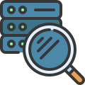 external search-servers-and-networks-soft-fill-soft-fill-juicy-fish icon
