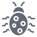 external Bug-school-and-learning-solid-design-circle icon