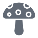 external Mushroom-fruits-and-vegetables-solid-design-circle icon