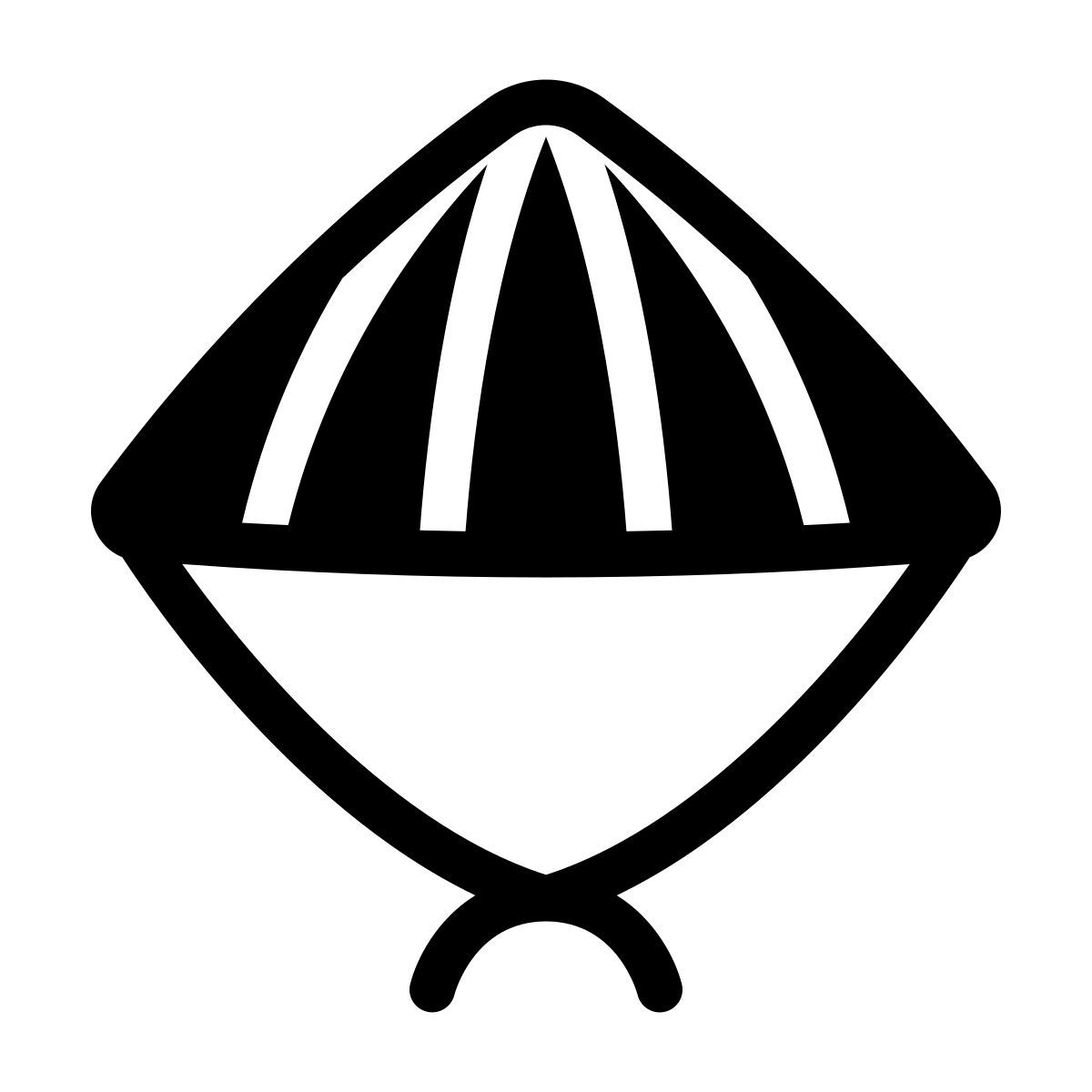 icon conical hat