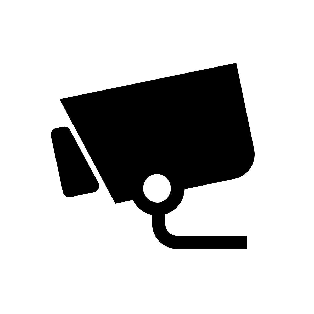 camera icon