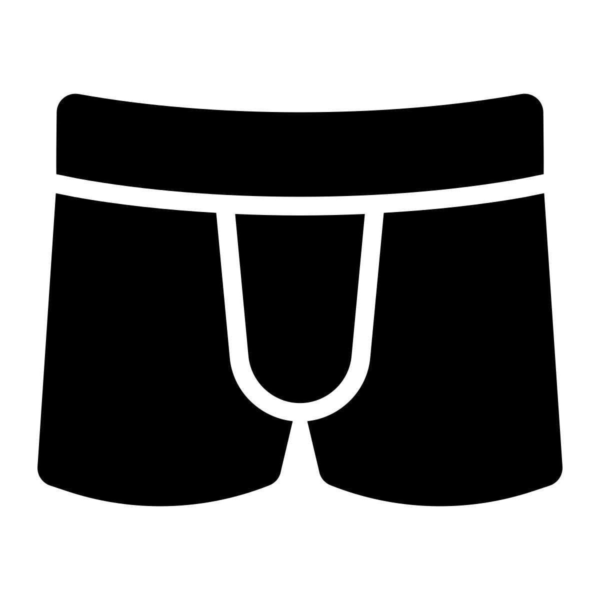 boxers icon