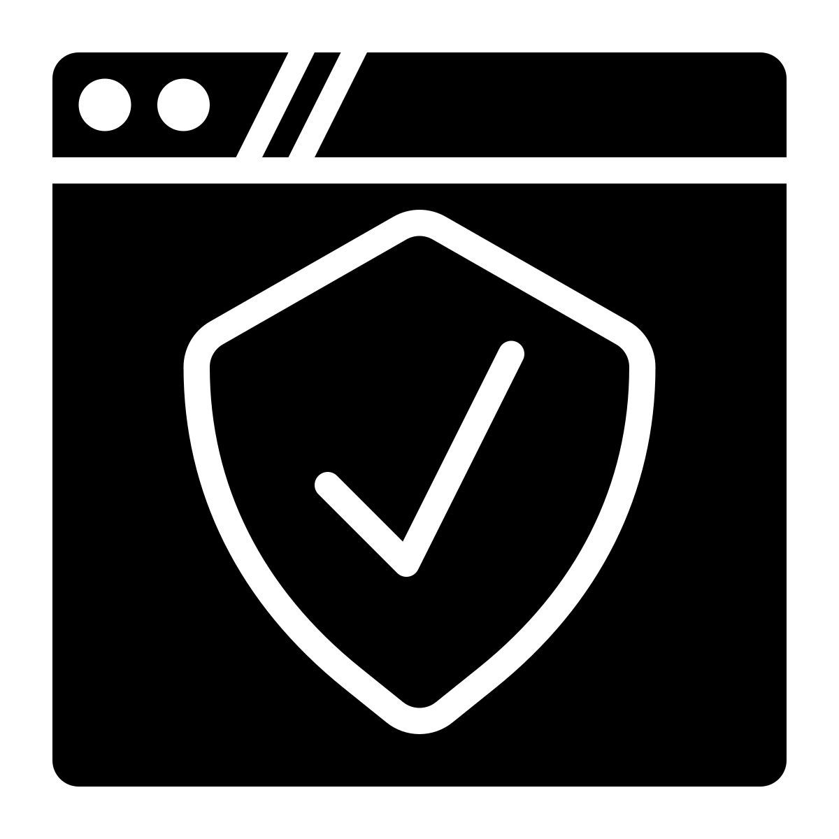 web security icon