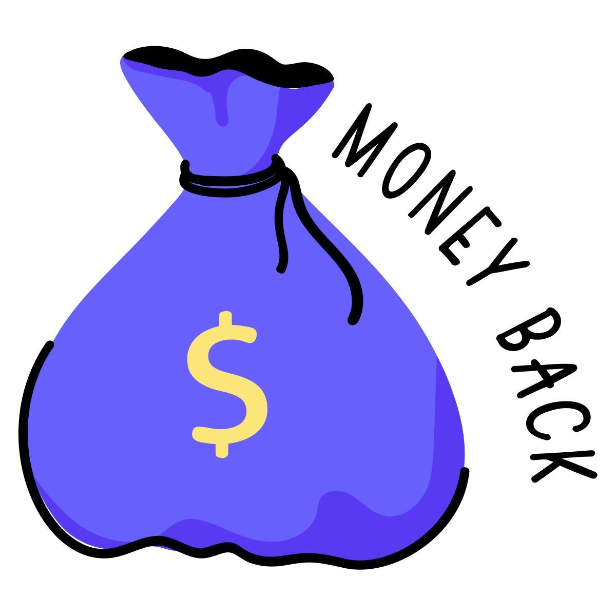 money bag icon