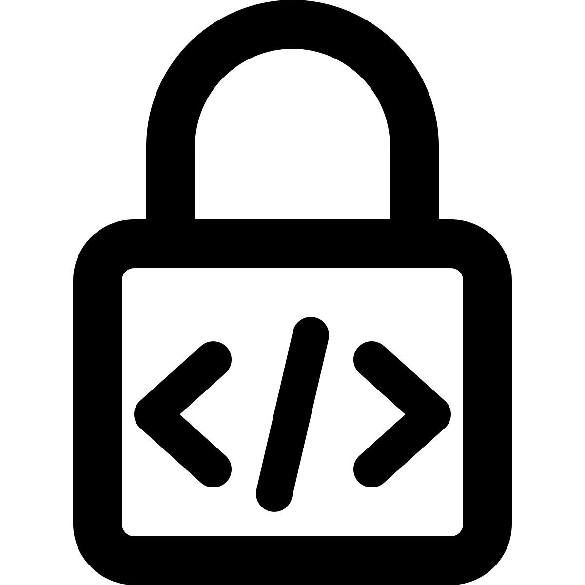 secure programming icon