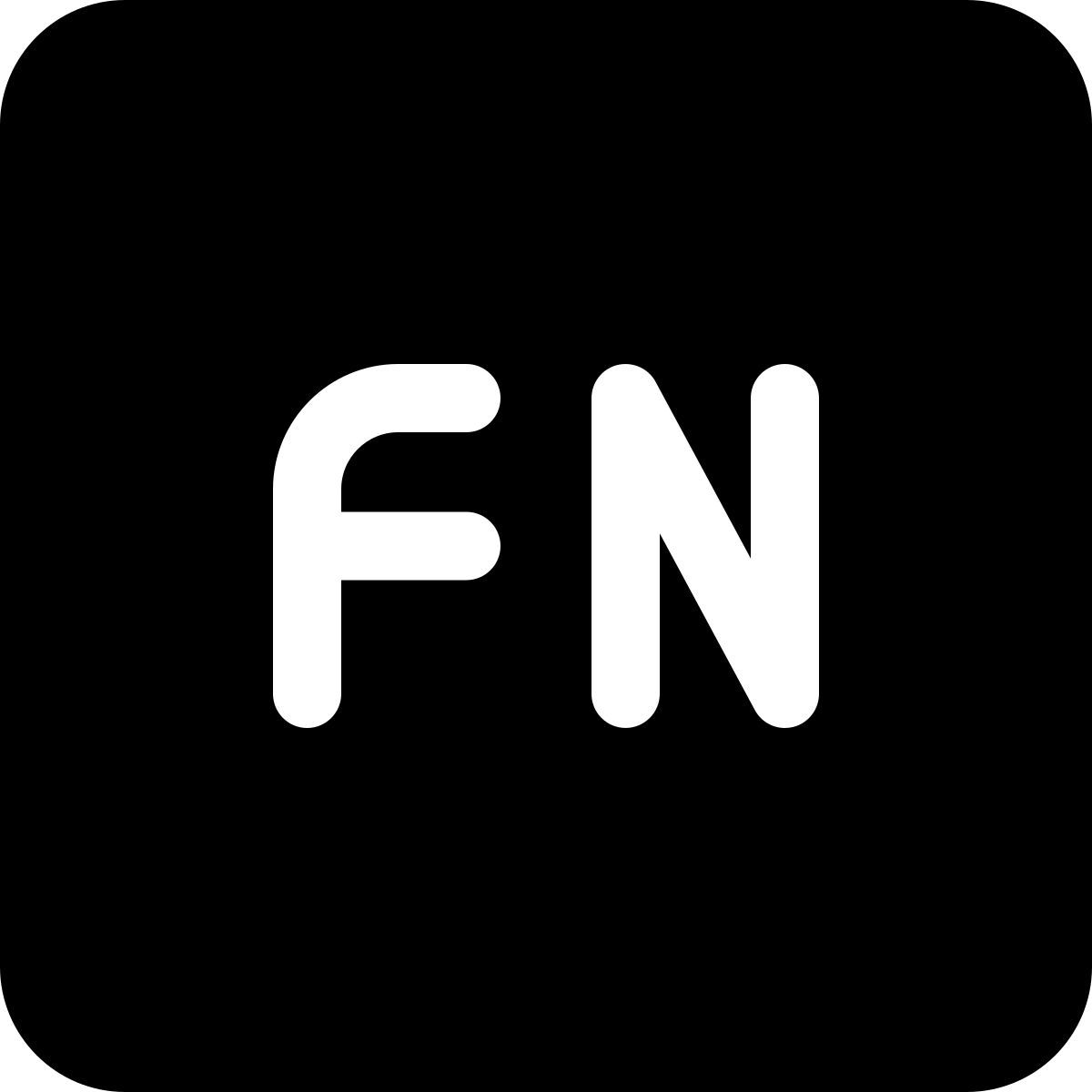 fn key icon