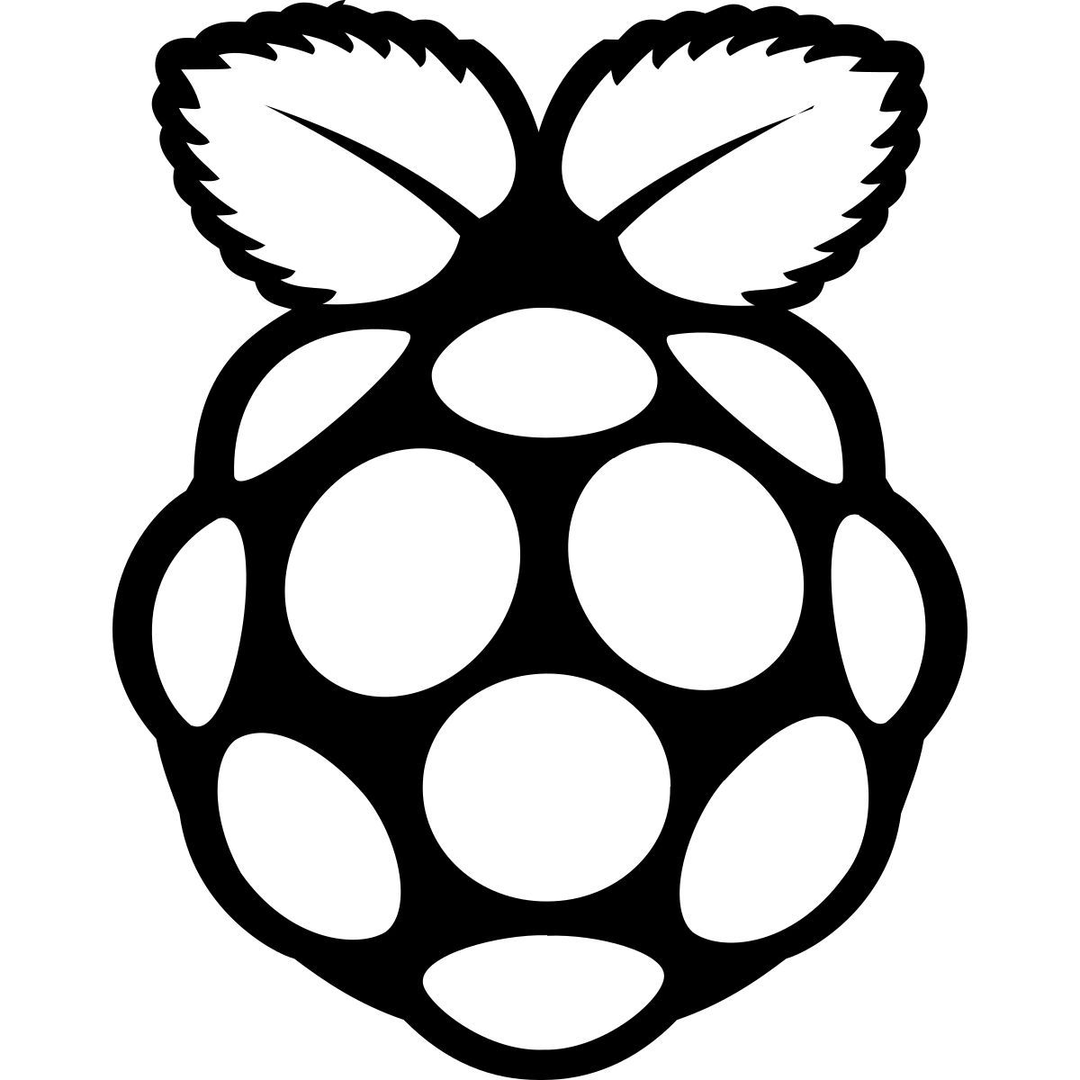 raspberry pi icon