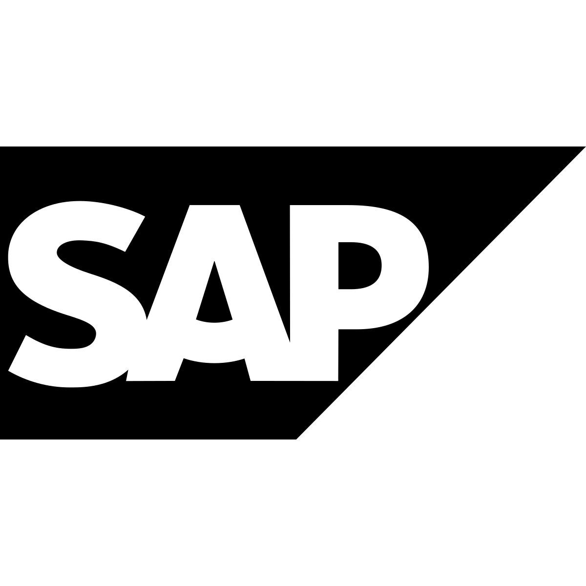 sap erp icon