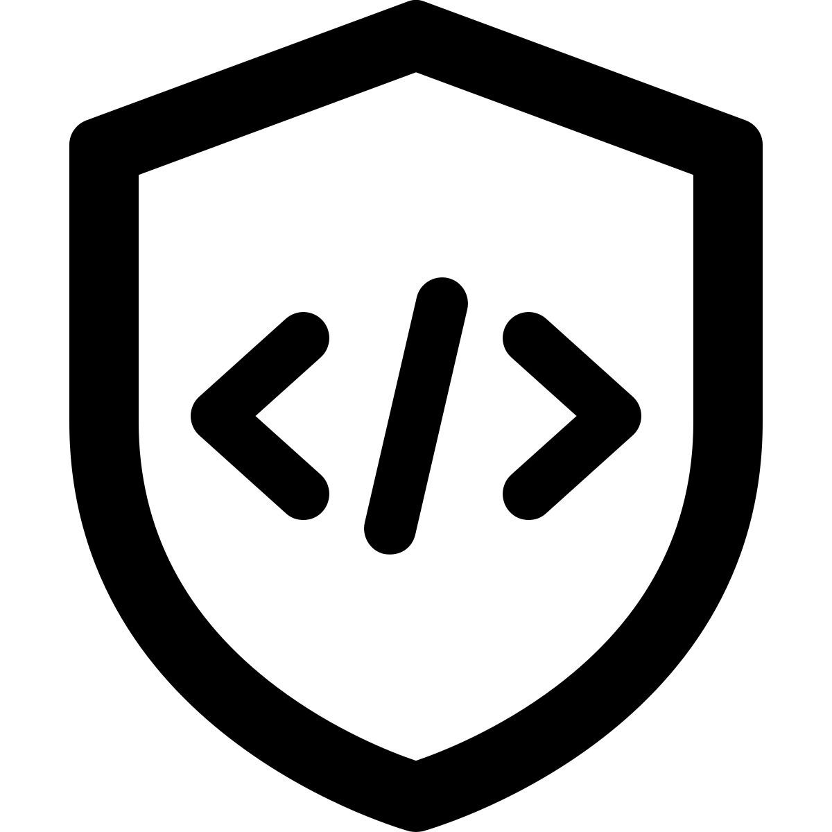 secure programming icon