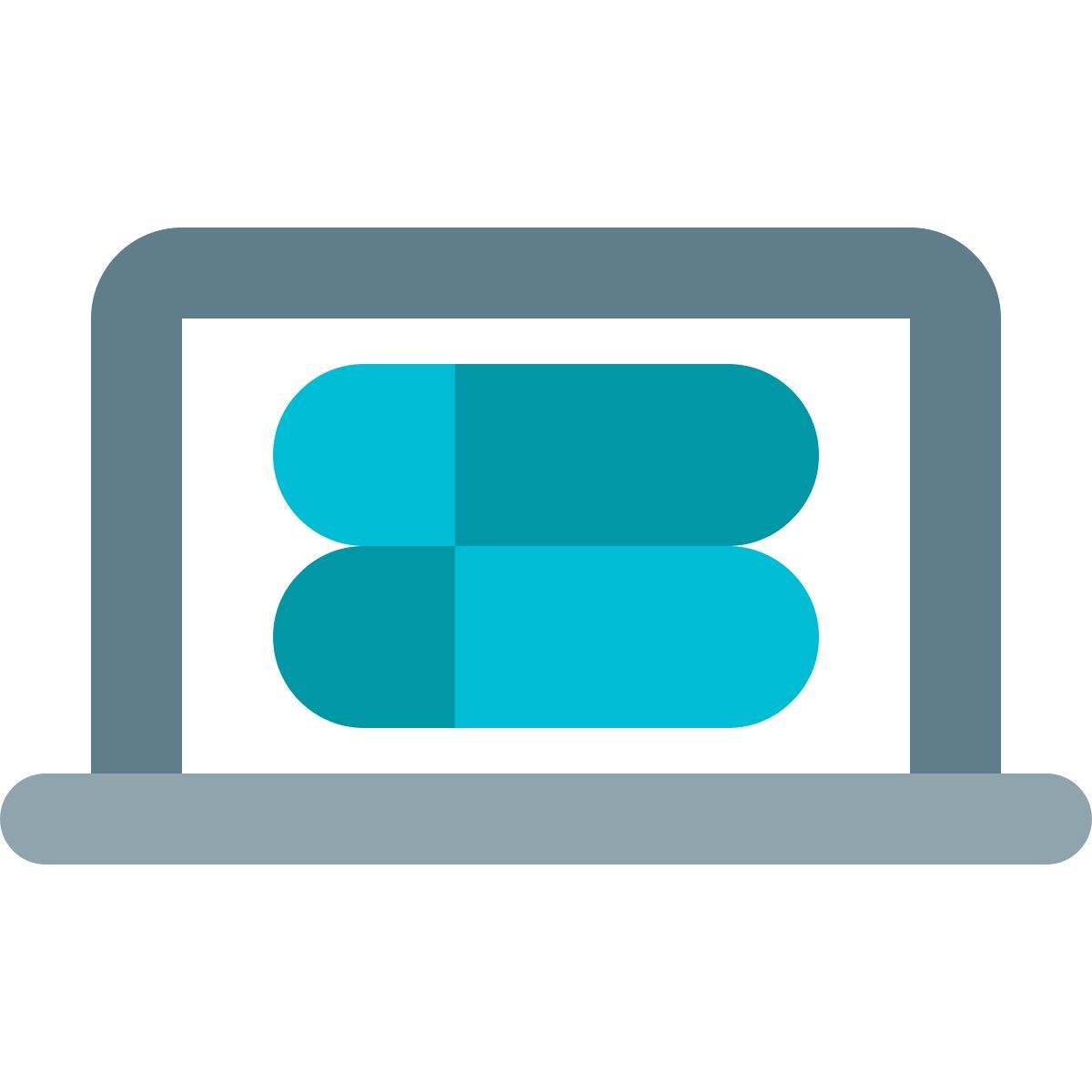 laptop server icon